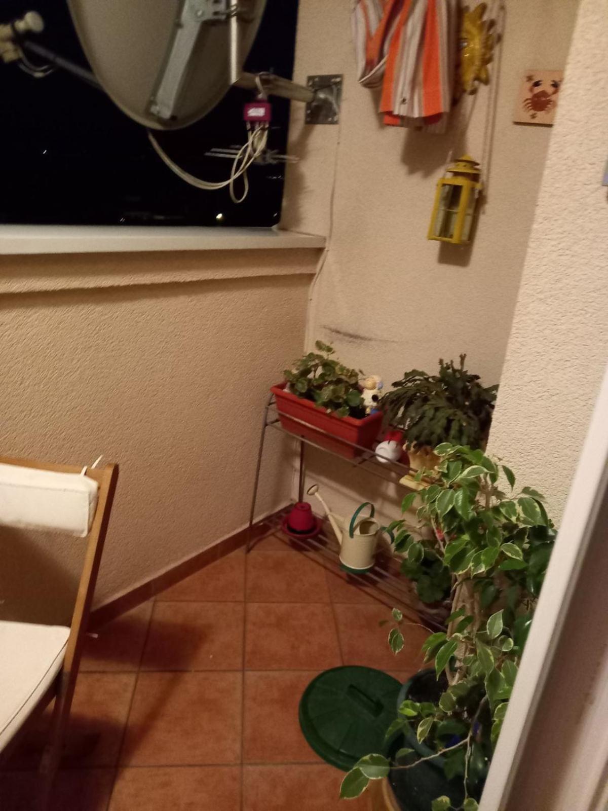 Tedi Daire Rijeka Dış mekan fotoğraf